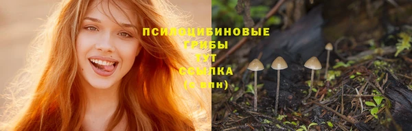 тгк Богородск