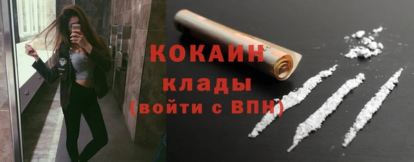 индика Балахна