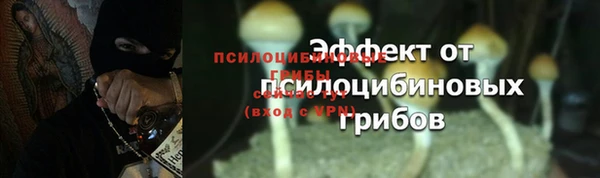 прущая мука Беломорск