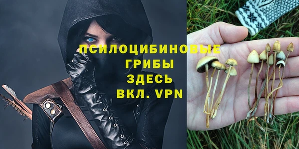 apvp Баксан
