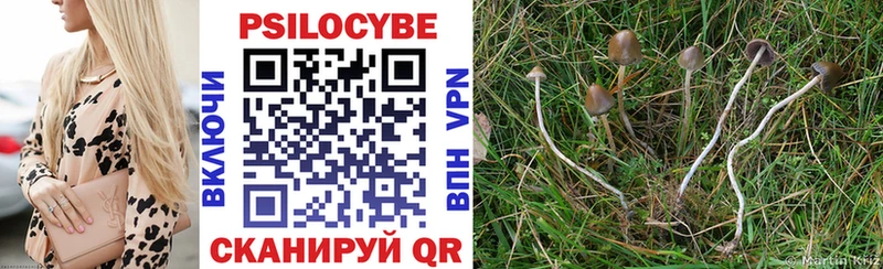 Купить закладки  Приволжский  Псилоцибиновые грибы мицелий 